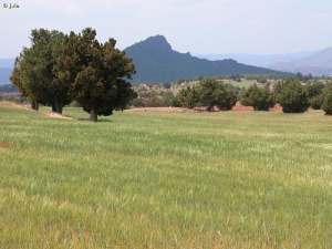 Calar de la Santa