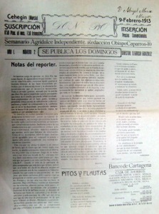 Peridico Don Po