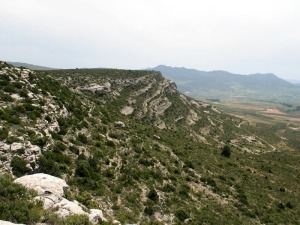 Detalle de las calizas bioclsticas y conglomerados de la ladera oeste del Calar de las Cuevas. Al fondo el Campo de San Juan 