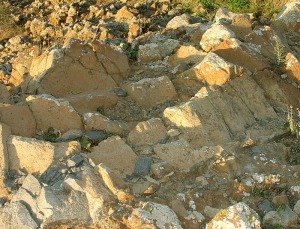 Superficie de un domo de andesitas con disyuncin columnar del volcn del Carmol. Obsrvese la coloracin superficial debida a la alteracin de la roca 