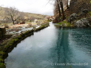 Nacimiento del ro Segura en Pontones (Jan) [humedales]