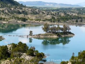 Los humedales con lmina de agua son ms valorados que los que no la tienen 