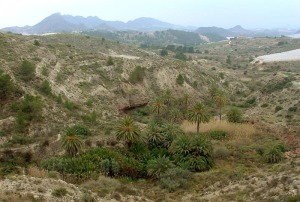 Paraje de La Poza desde el mirador. A la izquierda se observa los depsitos deltaicos y parte del talud arrecifal. Hacia la derecha y abajo las arcillas rojas, que impermeabilizan la base del acufero