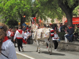 Caballo concursante de la Pea El Zambra 