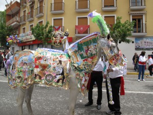 Caballo concursante de la Pea Rebelde 