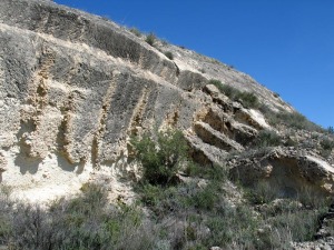 Una cantera, posiblemente romana, en la que se aprovech un yacimiento de corales del terciario 