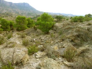 Cantera de yeso realizada por los lugareos en los materiales trisicos (parada 2) 