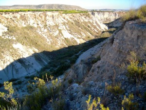 En primer plano los conglomerados plio-cuaternarios de la paleorrambla de Perea. A la derecha, la vegetacin limita el contacto entre rocas permeables, conglomerados, e impermeables, margas marinas