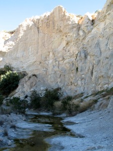 Un paleocanal compuesto por rocas detrticas, color rosado, cuya base irregular se superpone a las margas marinas [rambla Perea]