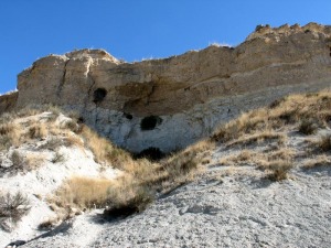 En el Plio-Cuaternario, en los campos de Yechar desembocaban las ramblas en una llanura pantanosa y pedregosa. En la foto, un paleocanal de esa poca en el que el agua rezuma debido a su permeabilidad