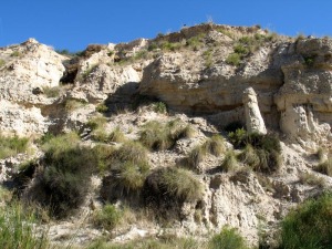 Diversos estratos de sedimentos detrticos aportados por las avenidas de la paleorambla de Perea. Hoy se estn erosionando dando relieves muy particulares como la chimenea de hadas de la derecha