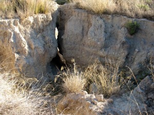 Detalle del inicio de una crcava 