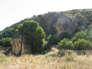 Las areniscas por las fracturas suelen desgajarse. Un bonito ejemplo de unin entre la Gea y la flora, entre un pino y una roca desprendida 