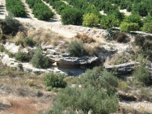 La diferente resistencia de las rocas a la erosin, areniscas y margas ha generado esta caprichosa geoforma 