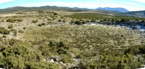 Panormica de la dolina desde el noroeste. Obsrvese la diferencia de pendiente entre la zona este (izquierda) y la oeste (derecha) 