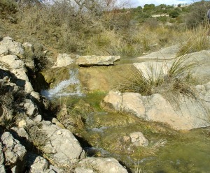 La caliza disuelta viaja en el agua como bicarbonato de calcio, hasta que vuelve a precipitar como carbonato de calcio, en la imagen, para formar travertinos 