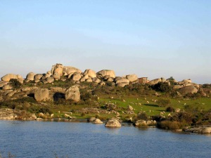 La Gea cobija la biodiversidad. Es soporte material de la biodiversidad, formando con sta la Diversidad Natural. Cigeas y ovejas disfrutan de los berrocales de granitos paleozoicos de Los Barruecos