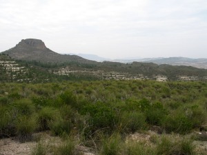 Los volcanes de rocas lamproticas de Murcia, por ser muy raras en nuestro planeta, estn incluidas en el inventario mundial de Lugares de Inters Geolgico. Volcn del Salmern, Moratalla 