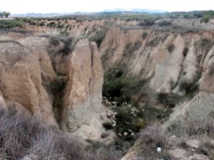 Los paisajes abarrancados de Murcia se consideran tierras malas. Es un error, son maravillas del relieve 