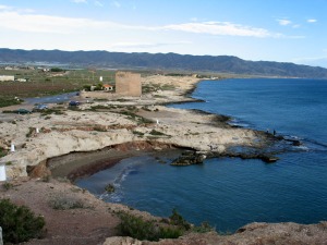 Las playas fsiles de las costas murcianas estn muy bien conservadas. Nos cuentan historias geolgicas sobre los vaivenes de nuestro mar Mediterrneo durante el Cuaternario. Cabo Cope 