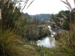 La geologa subterrnea, adems de proporcionarnos agua nos ofrece cultura geolgica, patrimonio hidrogeolgico. Ro Luchena 