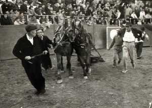 Novillada durante las fiestas de San Francisco Javier en 1962.