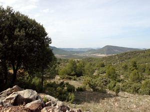 Sierra de Ponce