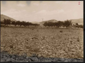 Fotografa 3 de la Lnea elctrica de Caada de La Lea