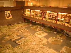 Necrpolis y Planta Primera Museo Arqueolgico Cartagena