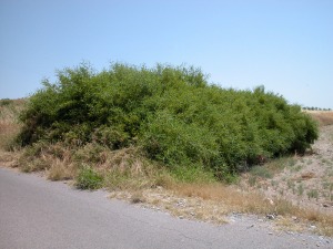 Puertos de Santa B�rbara (Cartagena)