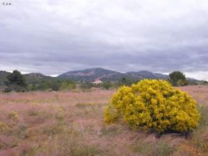 Puerto de la Cadena (Murcia)