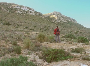 En primer plano los depsitos aluviales- coluviales (abanico aluvial- glacis) del Pleistoceno superior- Holoceno, que cubre las filitas y cuarcitas de la falda norte de Cabo Cope. Al fondo las calizas