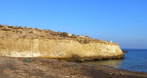 En la parte inferior del talud: areniscas marinas del Pliceno superior. Sobre ellas: depsitos continentales y marinos del Pleistoceno superior, que nos informan de los cambios en el nivel del mar