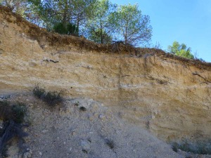 Frente de una cantera abandonada de zahorra.  Son depsitos de gravas de piedemonte que contienen lminas blancas de carbonato clcico y un suelo con un claro horizonte superficial, un calcisol