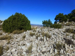 Lapiaz en las calizas de la cima de Villafuerte