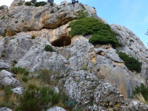 Calizas jursicas afectadas por disolucin, en la parte inferior derecha se aprecia un plano de falla con estras verticales bien conservadas. Frente a l las rocas trituradas por el movimiento