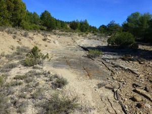 Espectacular conservacin de la base, casi horizontal del cabalgamiento del Cerro del Castellar