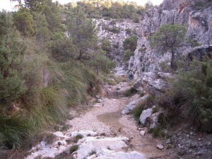 Cauce del Arroyo Blanco en las dolomas, en la parte inferior izquierda una de las surgencias de Fuentes Grandes