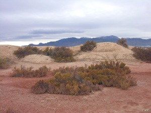 Saladares del Guadalentn (al fondo Sierra Espua)