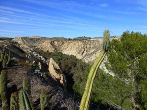 Panormica del Barranco del Pantano encajado en margas y areniscas del Mioceno terminal