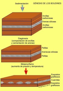 Formacin de los boudines