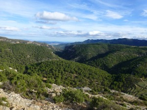 Panormica de curso medio de Hondares encajado en las rocas dolomticas del Cretcico superior. [Hondares]