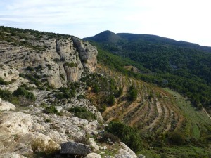 Panormica desde El Poyato 