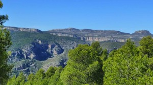 Panormica del barranco de Hondares desde la garita forestal de la Melera. 