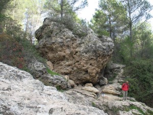 En periodos ms hmedos las surgencias de agua en los Baos de Somogil tuvieron que ser muy abundantes pues son muy comunes los  grandes bloques de travertinos. 