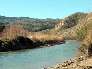 El ro Segura en el paraje de la Hoya Garca