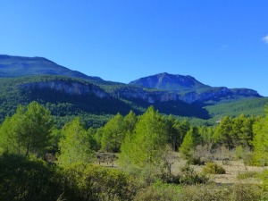 Los cenajos de calizas del Eoceno de Somogil.  [Somogil]