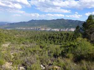 Vista frontal de los cenajos de Somogil. Sobre ellos las formaciones cretcicas, en la base, y jursicas, en las cimas de las sierras de los lamos y Frontn  