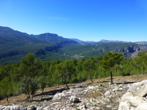 Desde garita forestal de la Melera se puede explicar gran parte de la diversidad geolgica.  