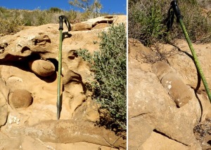 Bioturbaciones gigantescas originadas por invertebrados marinos procesos de cementacin diferencial de origen diagentico  